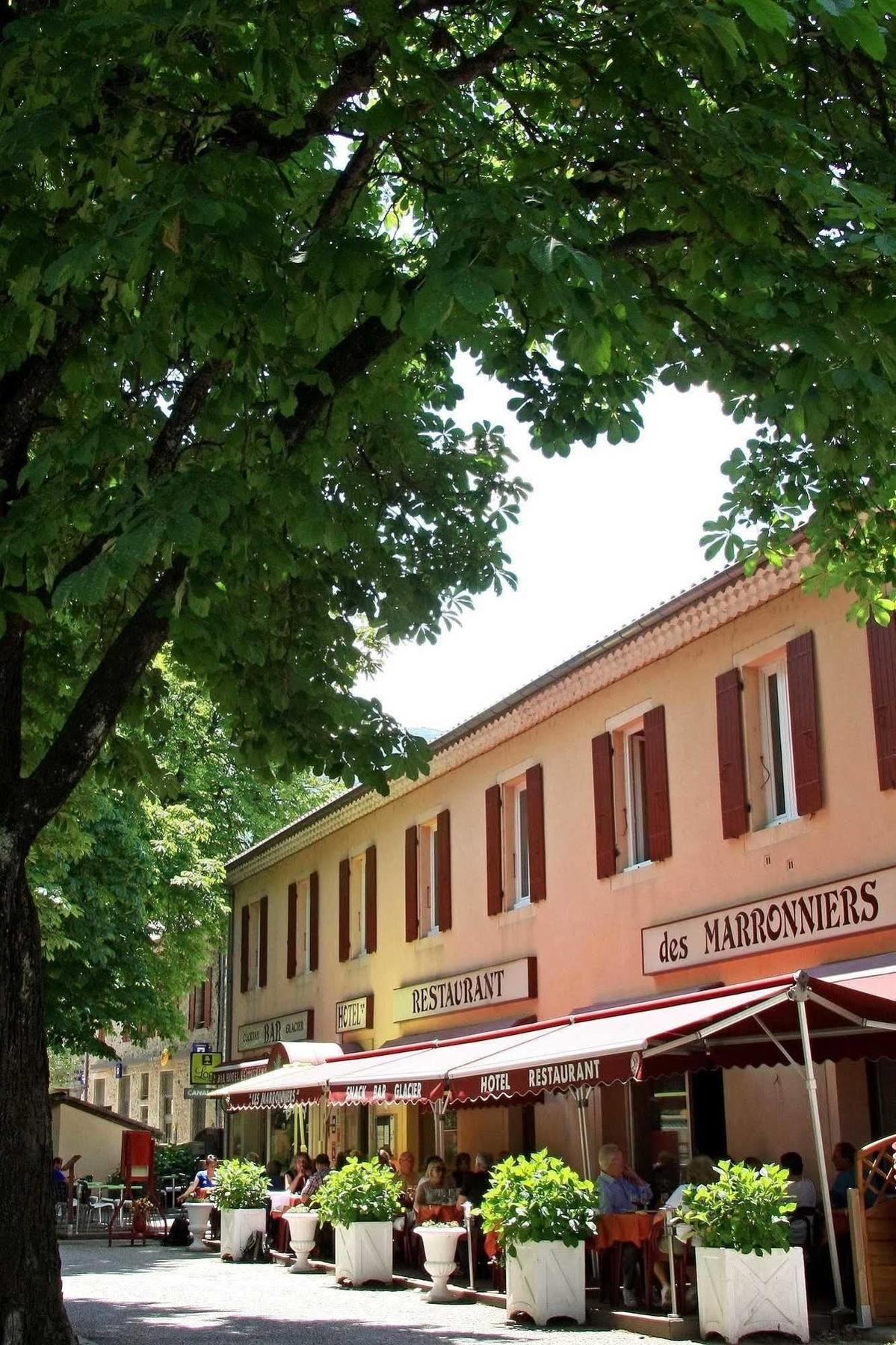 Les Marronniers Hotel Thueyts Екстериор снимка